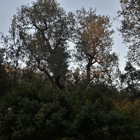 I Trulli *